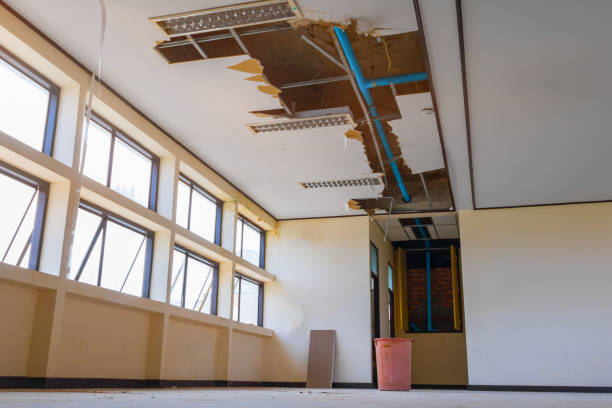 , LA Water damage restoration Company