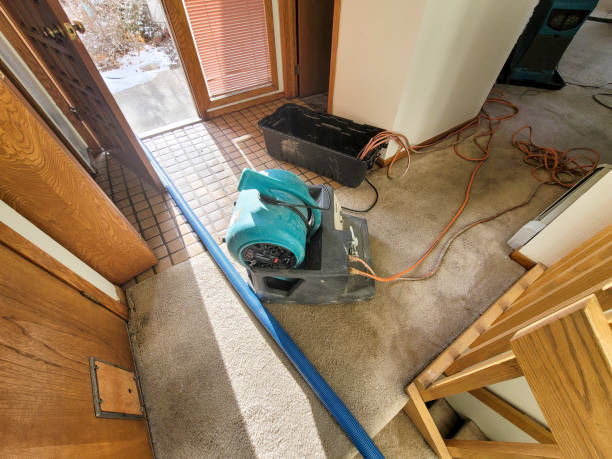 Best Water damage restoration company  in Central, LA