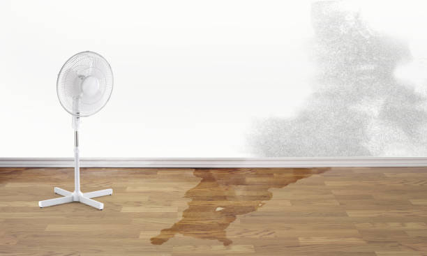 Best Flood damage cleanup  in Central, LA