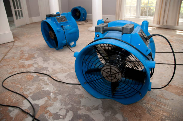 Best Water damage cleanup near me  in Central, LA