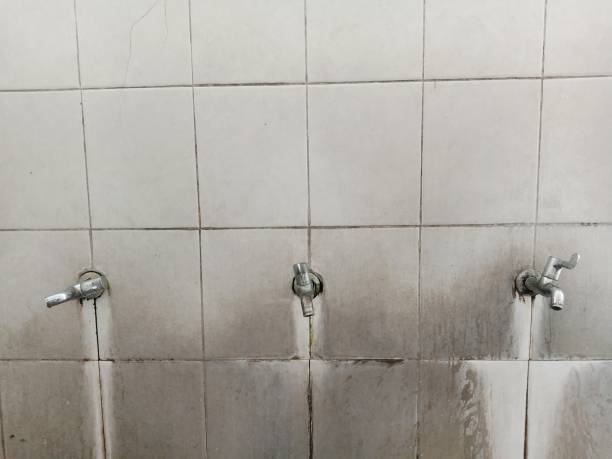 Best Water damage contractors near me  in Central, LA